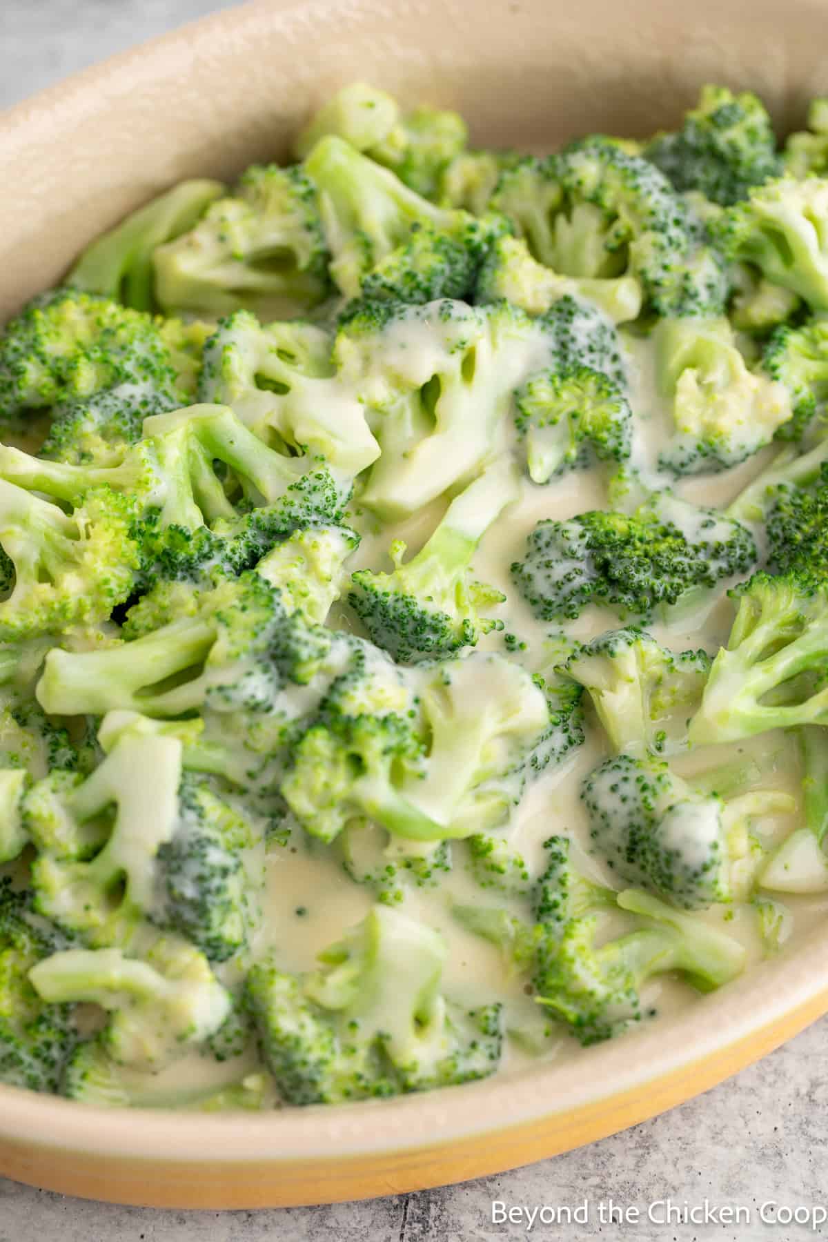 Broccoli and a sauce in a casserole dish. 