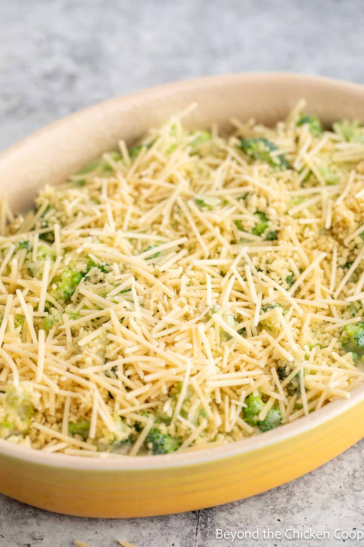 A casserole dish topped with parmesan cheese. 