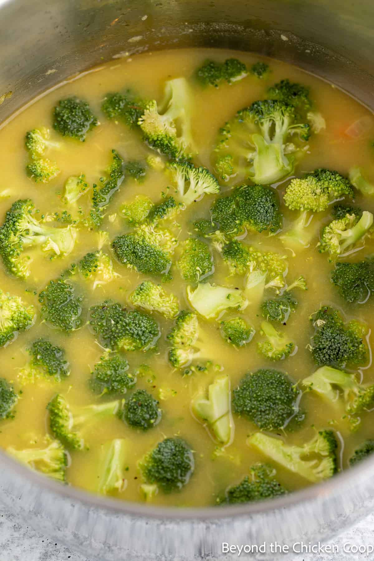 Broccoli florets in a pot of soup. 