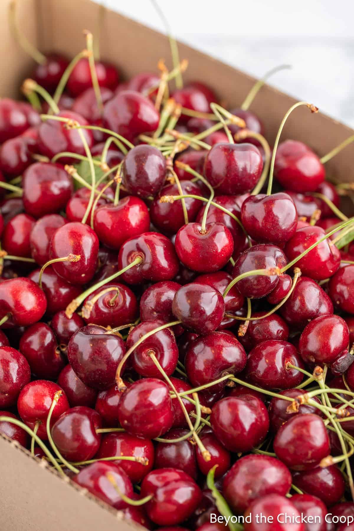 A box filled with fresh cherries. 