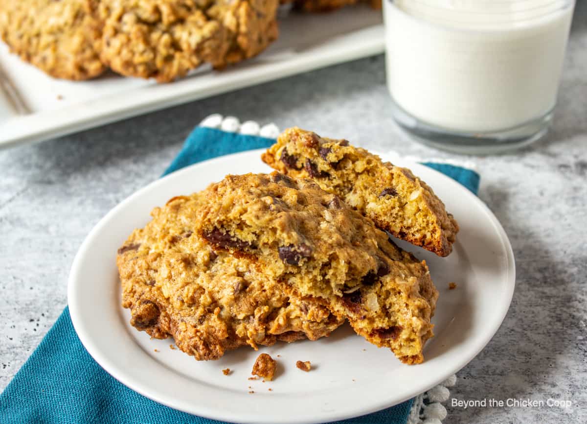 An oatmeal cookie broken in half on a small white plate.