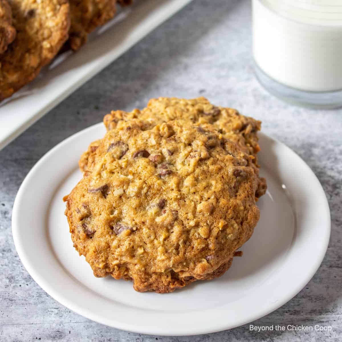 Two chocolate chip cookies with nuts and oats on a small white plate.
