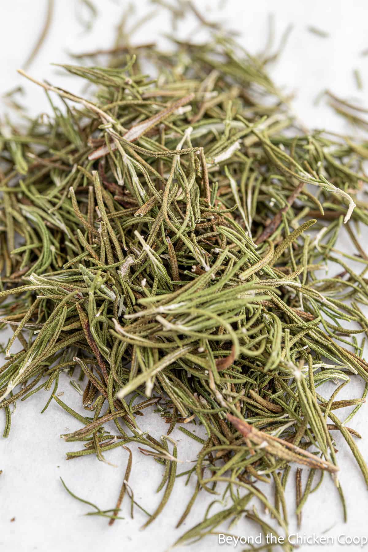 A pile of dehydrated rosemary leaves. 