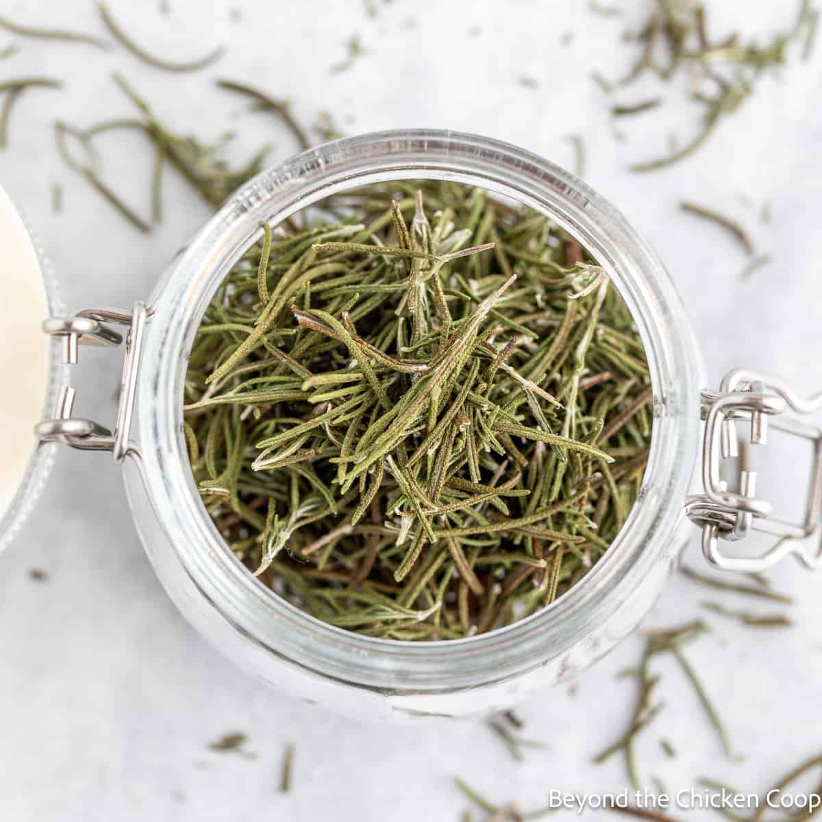 How to Dry Rosemary, Step by Step