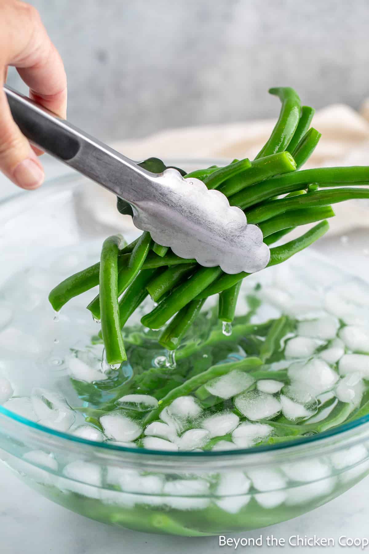 Blanching green beans in a bowl of ice water. 