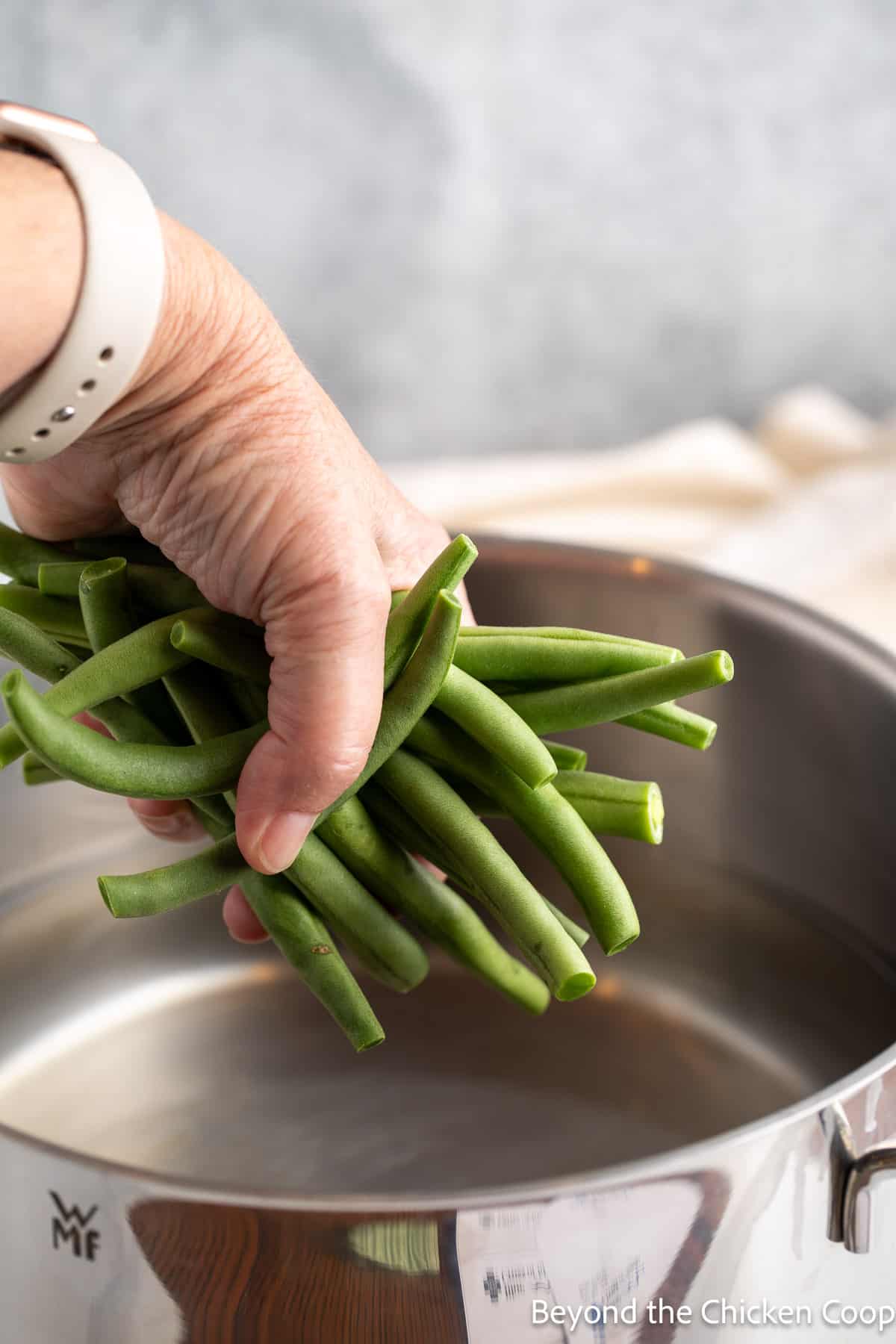 Adding a handful of beans to boiling water. 