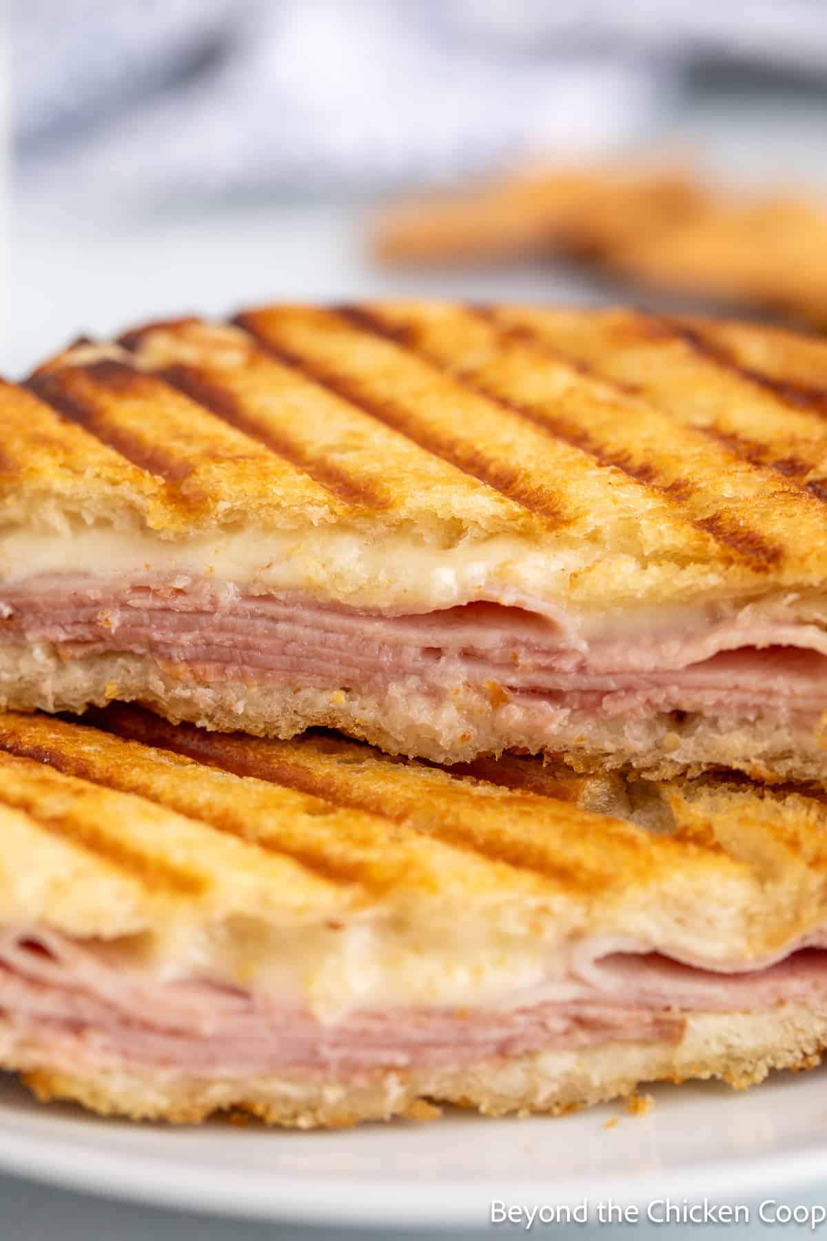 A grilled ham and cheese sandwich. 