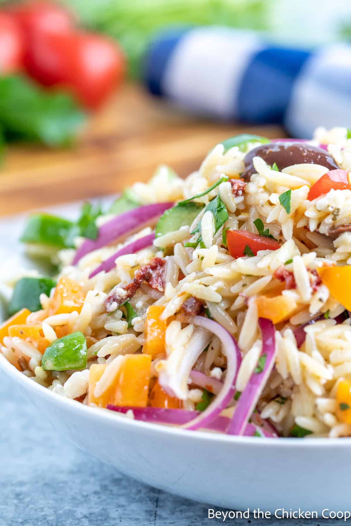 Pasta salad with red onions, peppers and cucumbers. 