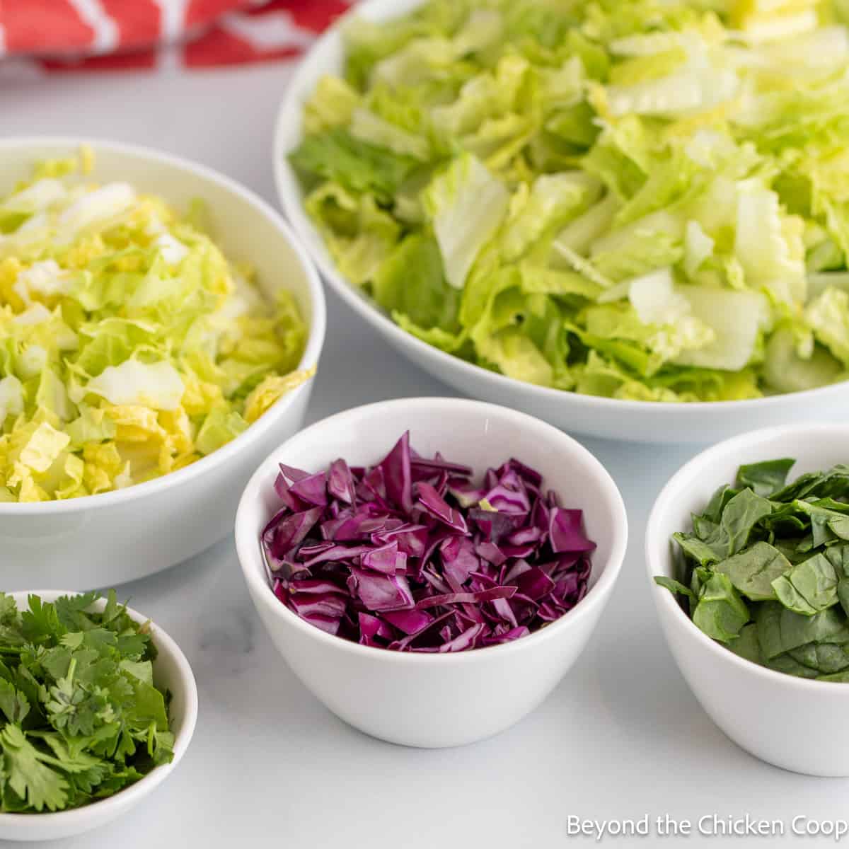 Small bowls of chopped lettuce and cabbage. 