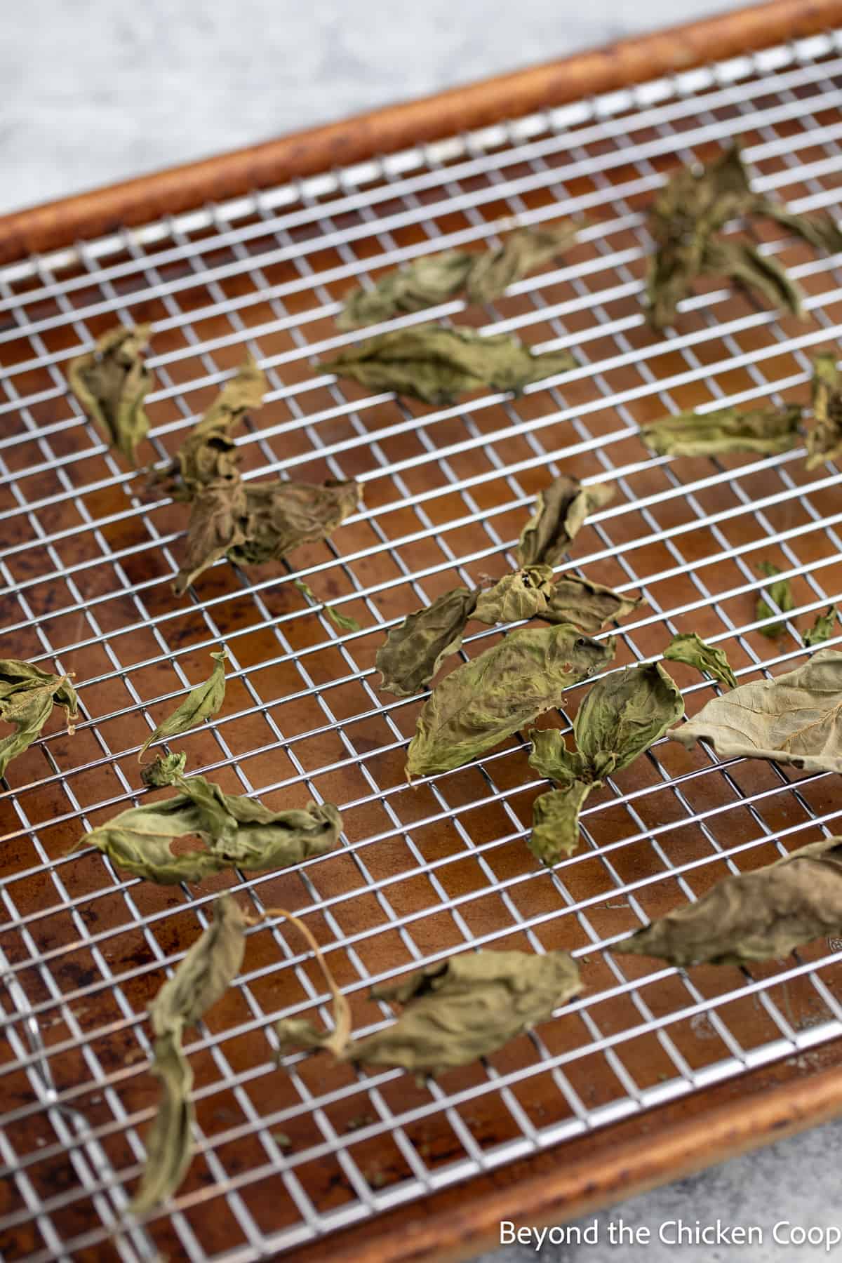 Dried basil leaves on a baking rack. 