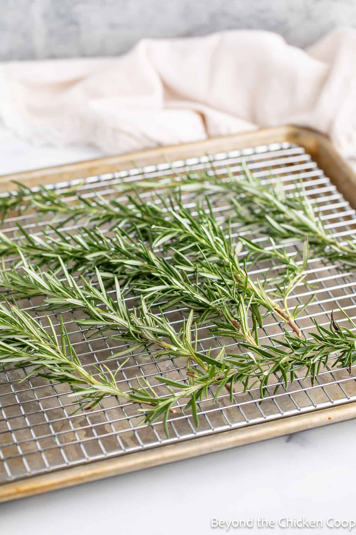 Rosemary on a baking rack. 