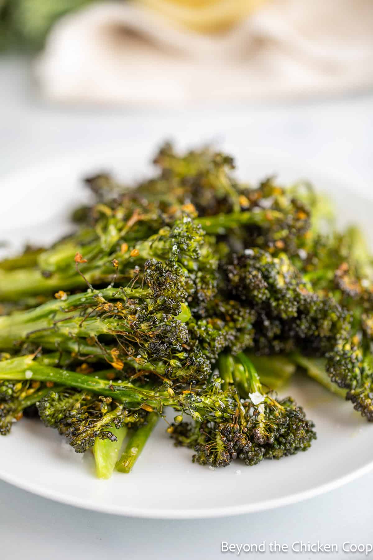 A plate of cooked broccoli. 
