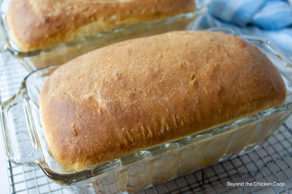 Two baked loaves of bread in glass bread pans.