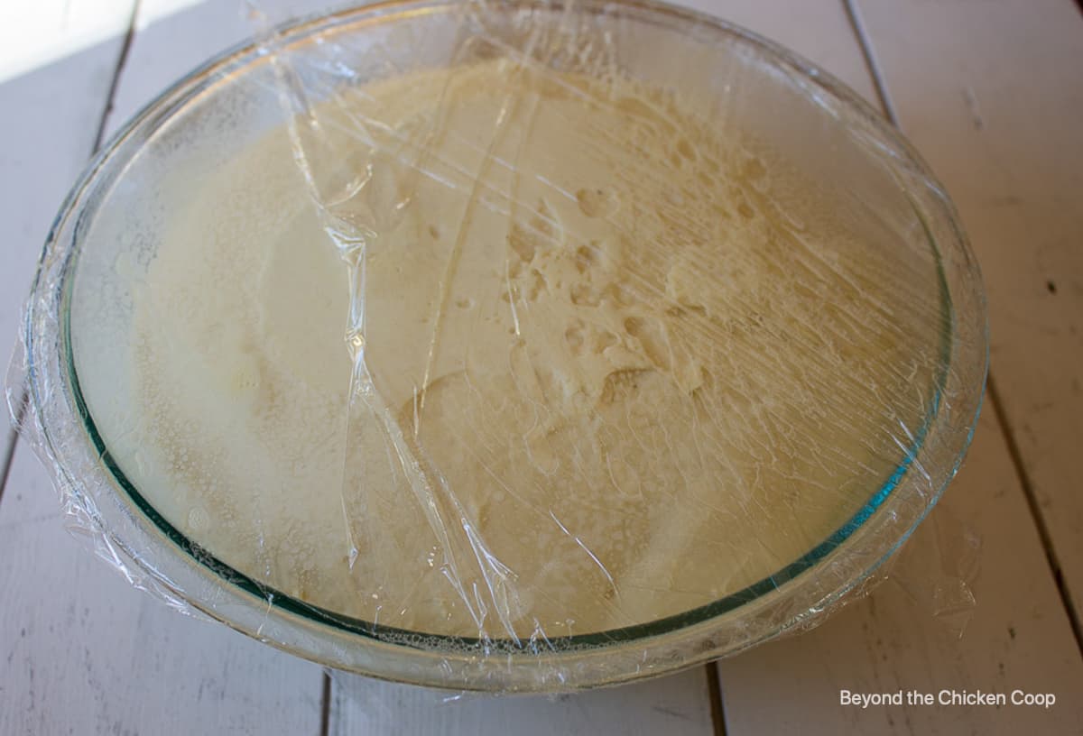 Bread dough risen to the top of the bowl.