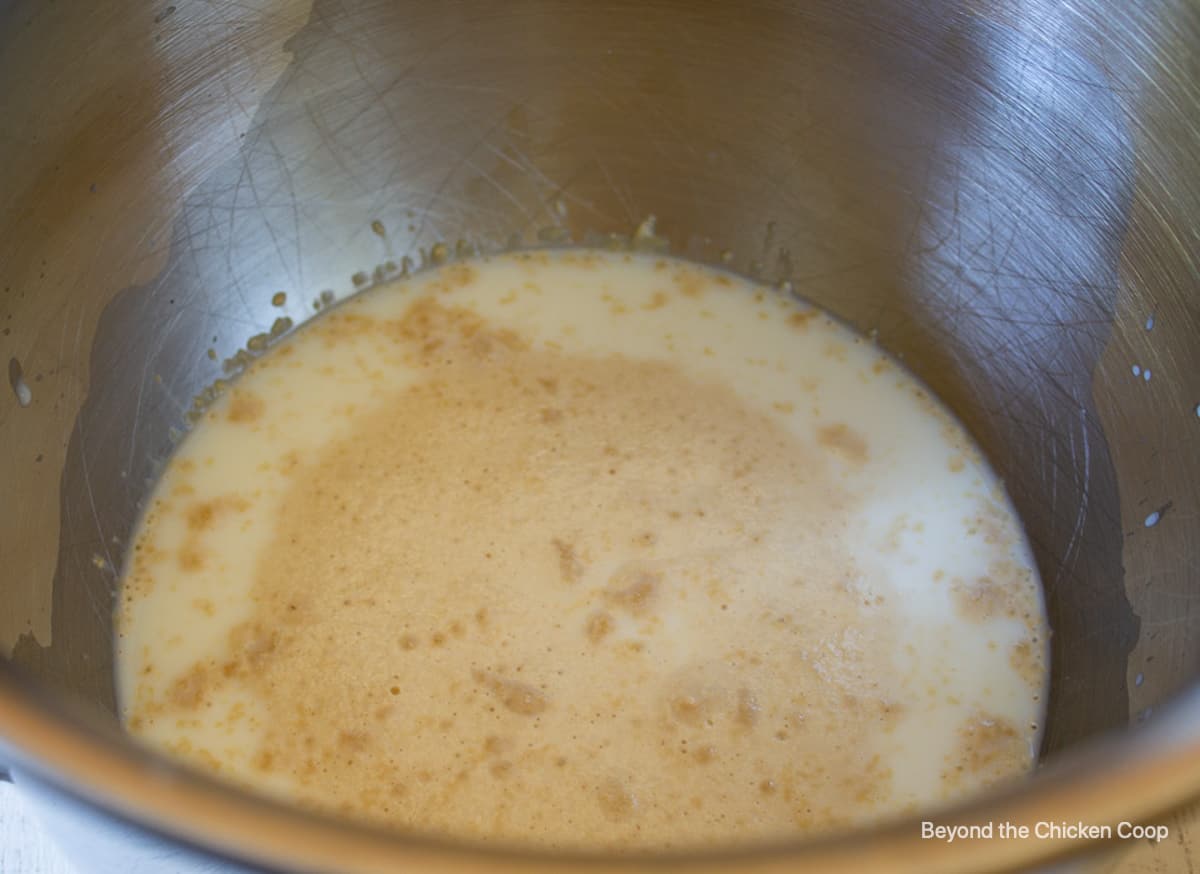 Dissolved yeast in a bowl with milk.