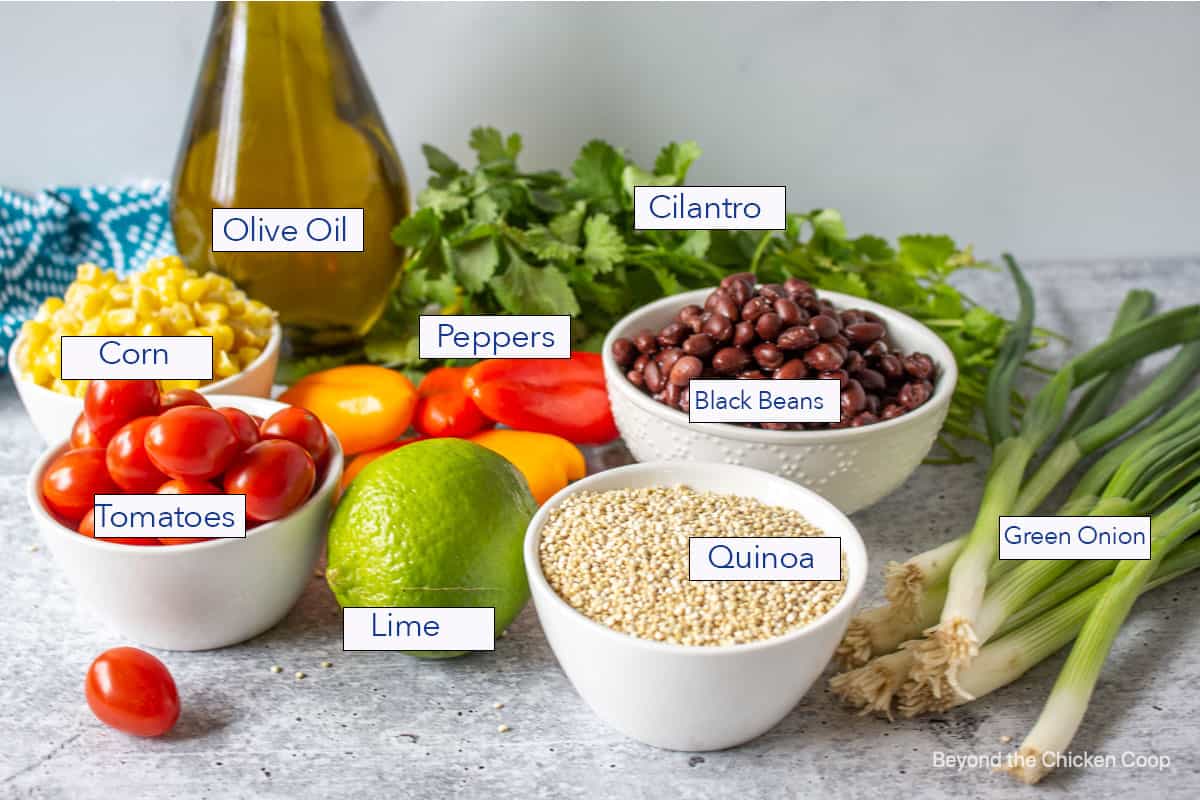 Small bowls filled with quinoa, tomatoes and beans.