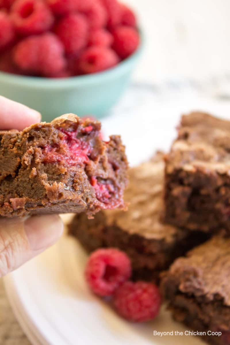 Rasberry brownies on a plate and held in one hand.
