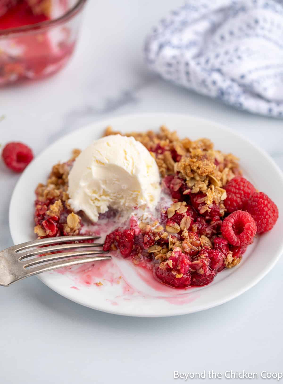 A raspberry crisp with vanilla ice cream. 