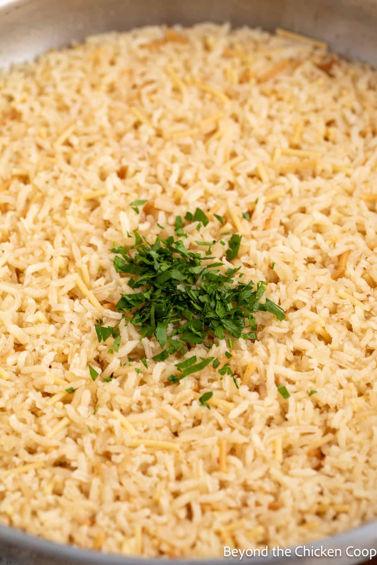 Cooked rice topped with chopped parsley. 