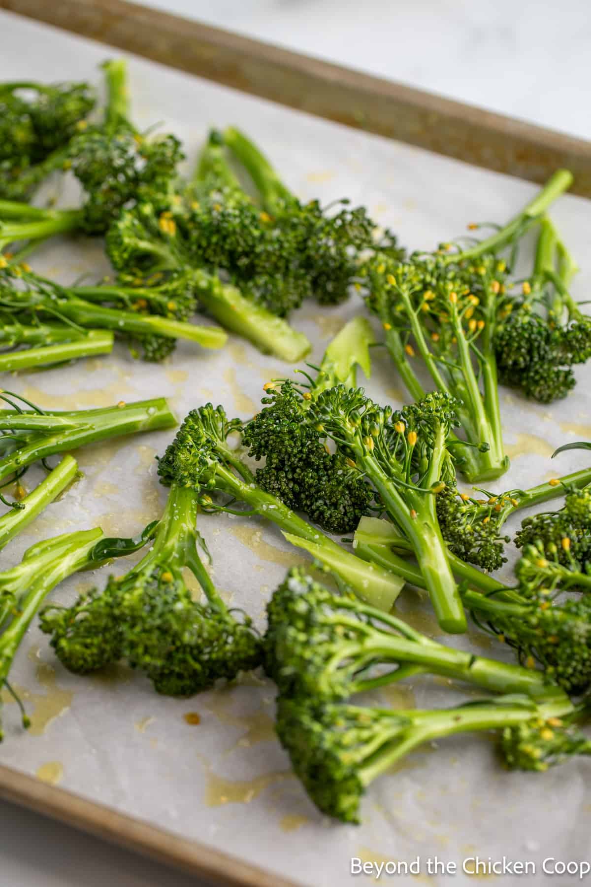 Cut broccoli on a baking sheet. 