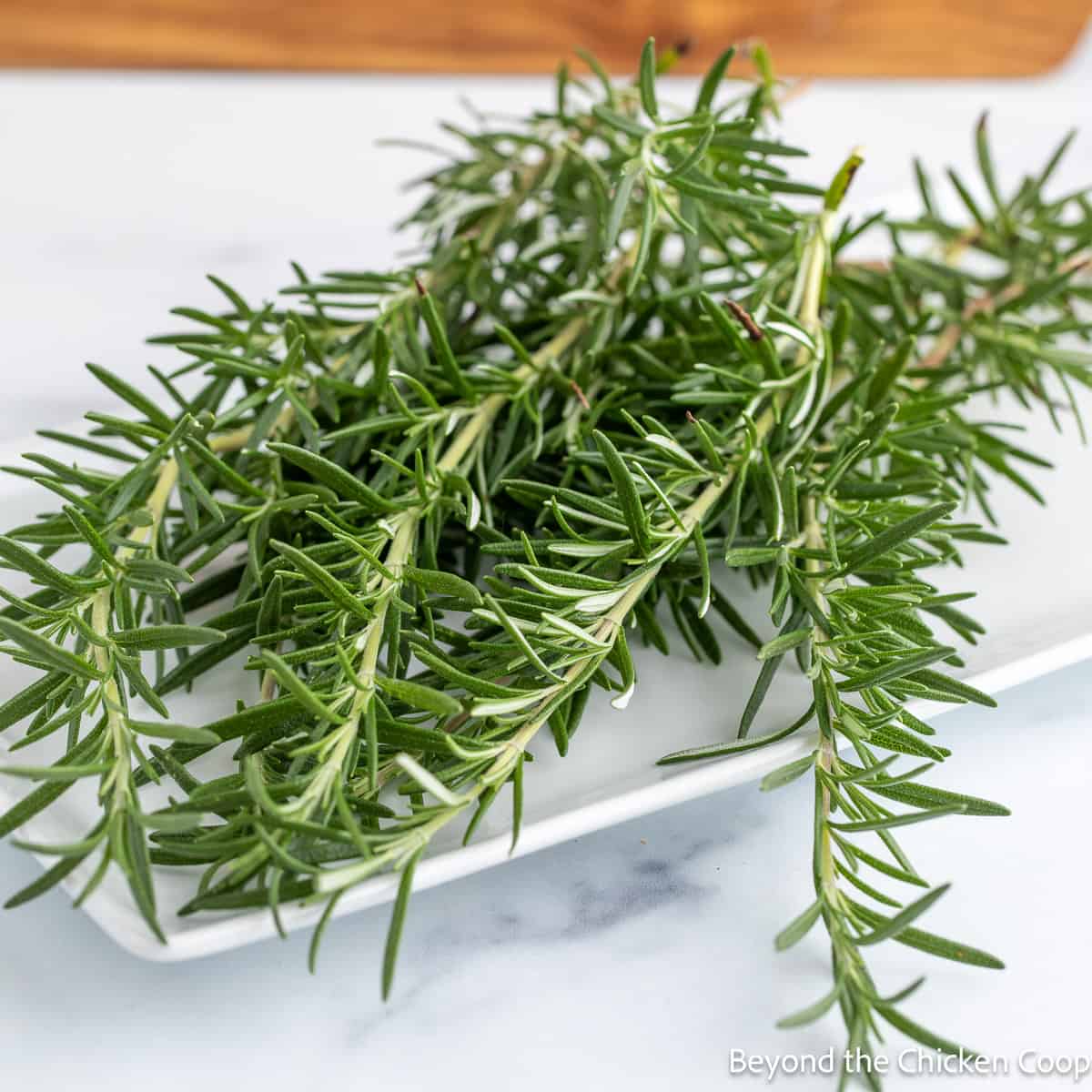 Sprigs of fresh rosemary. 