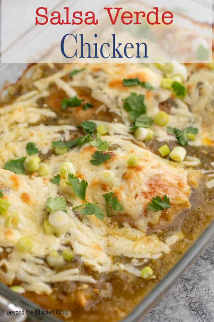 A casserole dish with chicken breasts topped with a green sauce and cheese.