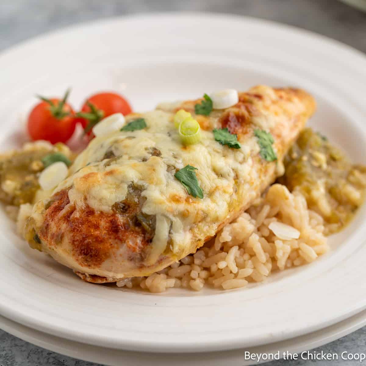 A chicken breast topped with cheese on a bed of rice. 