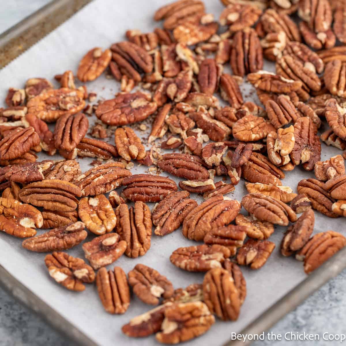 Pecan halves on a baking sheet. 