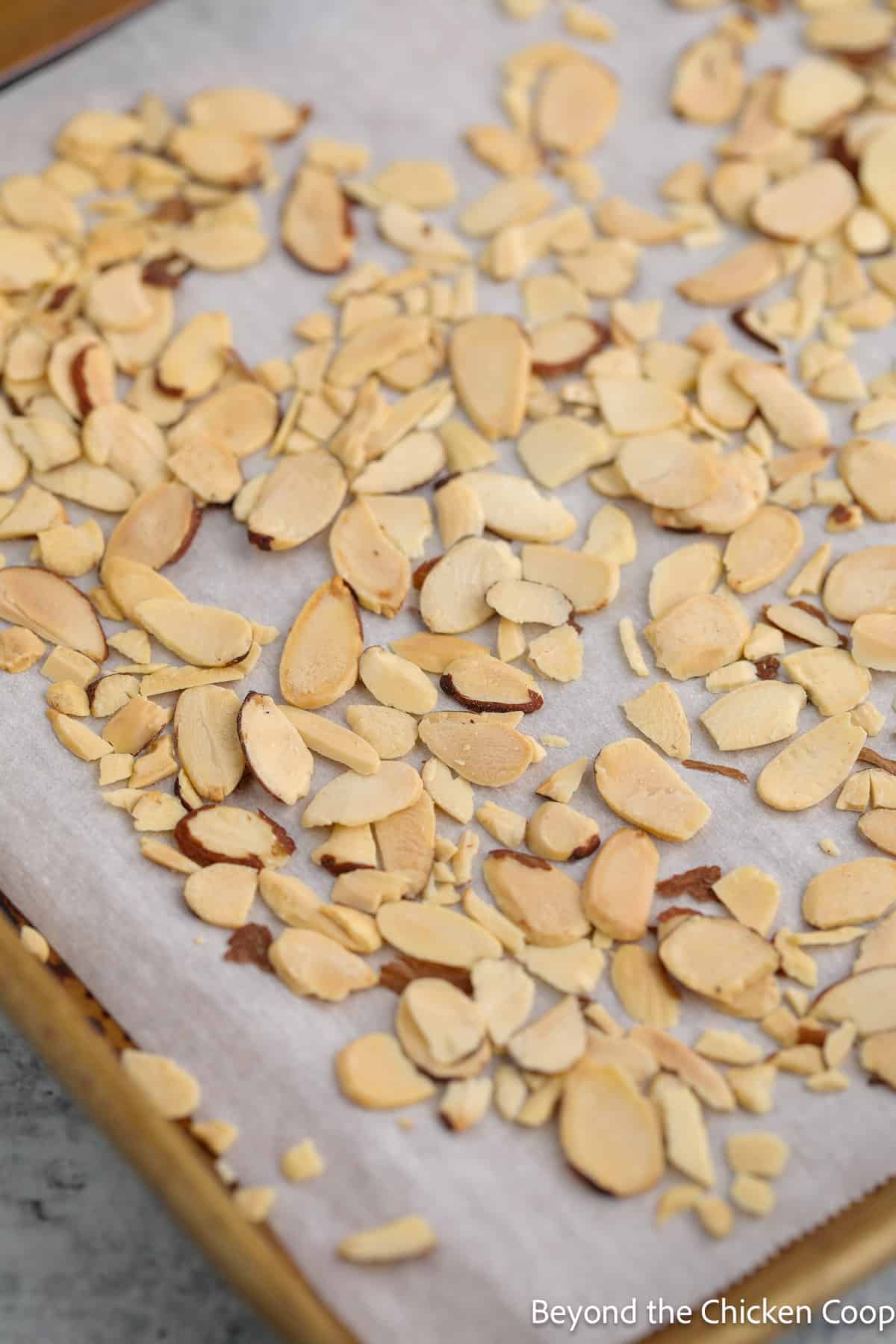 Almond slices on a baking sheet. 