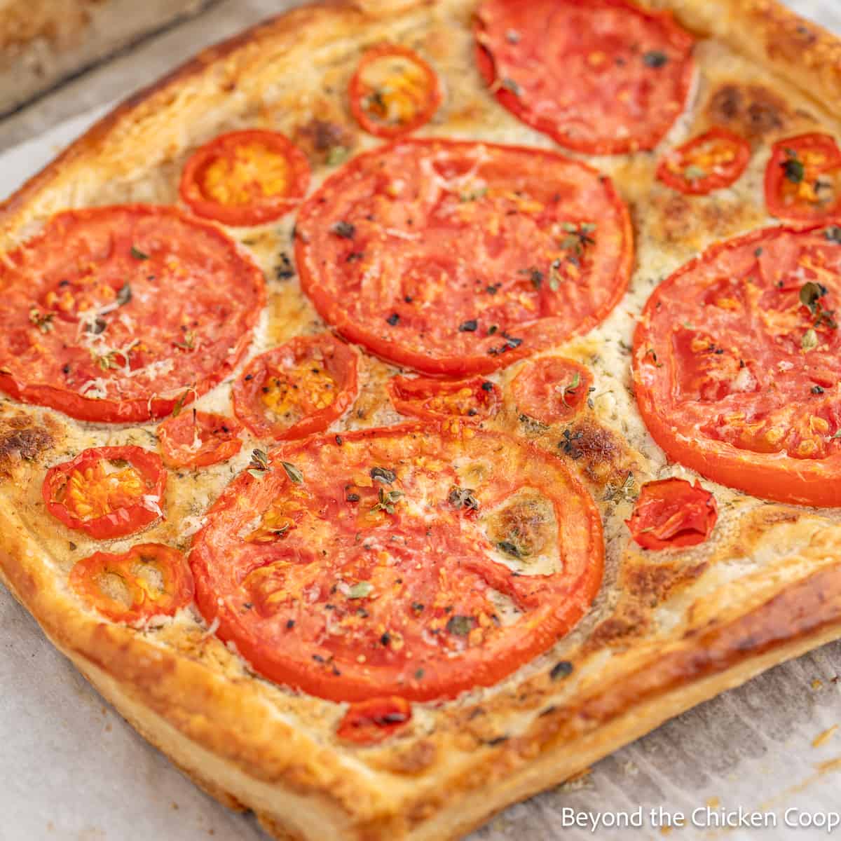 A baked tomato tart on a baking sheet. 