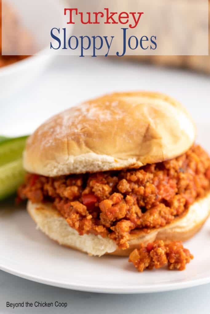 A sloppy joe on a toasted bun.