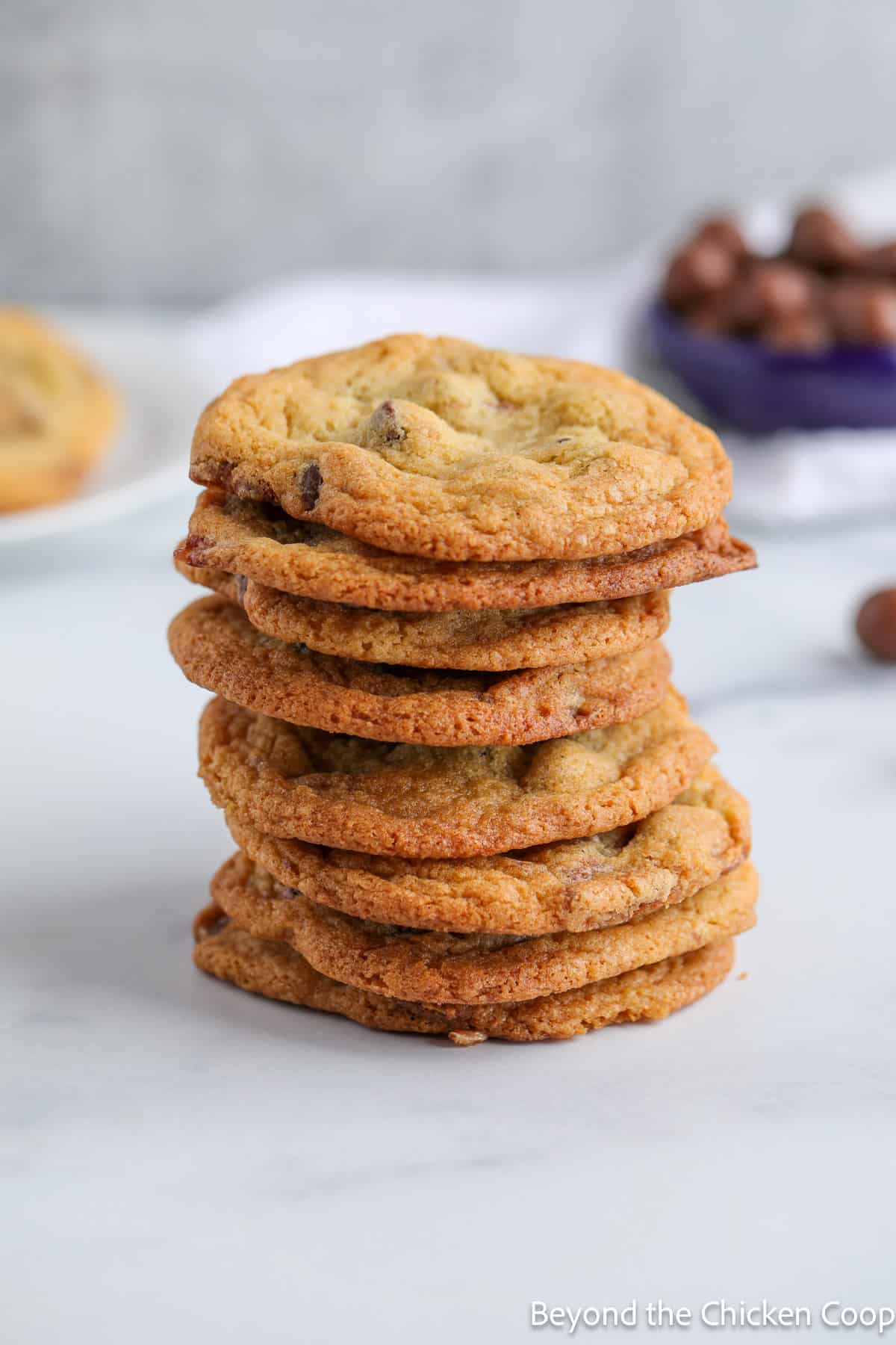 A stack of cookies on a countertop.