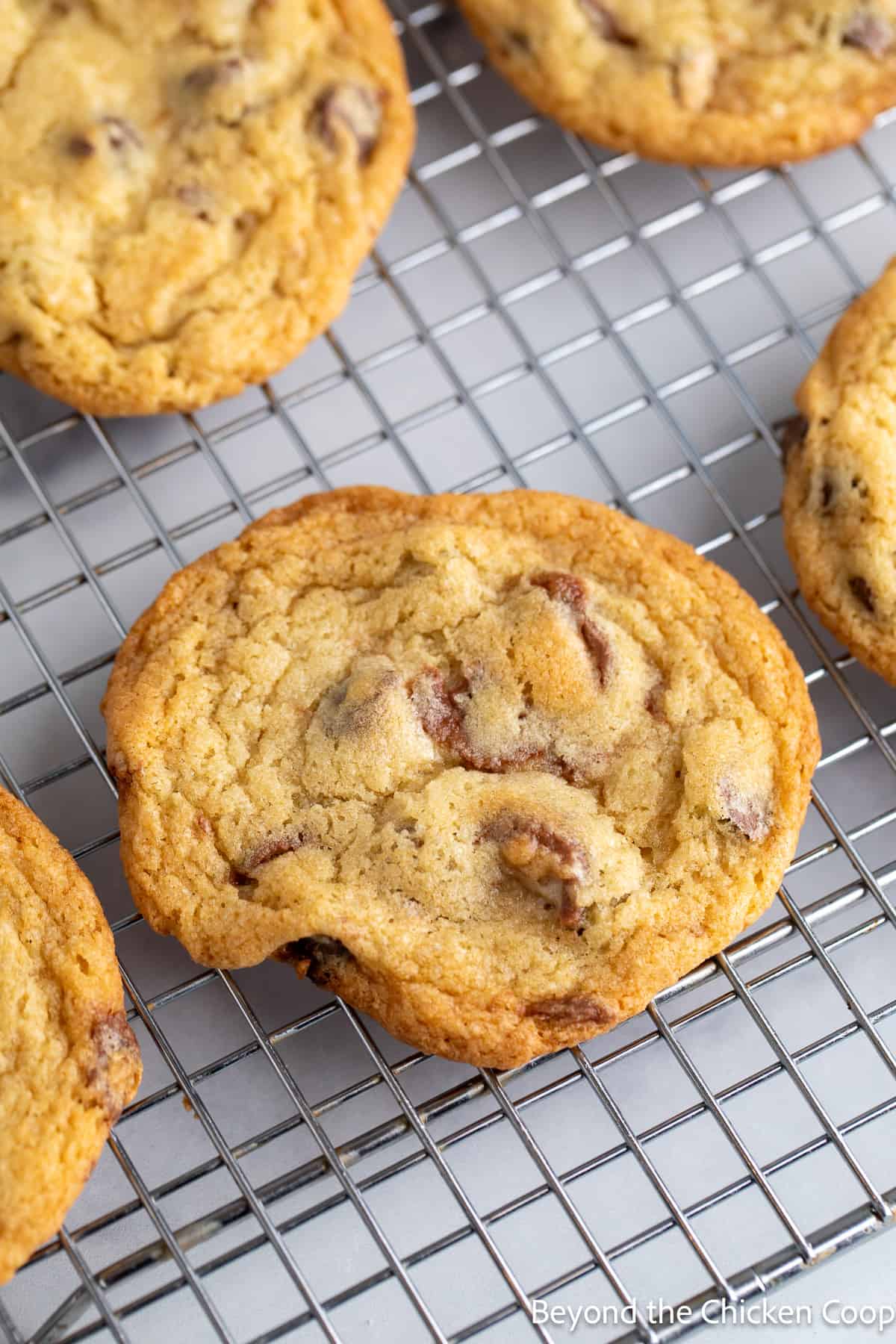 Cookies on a baking rack. 