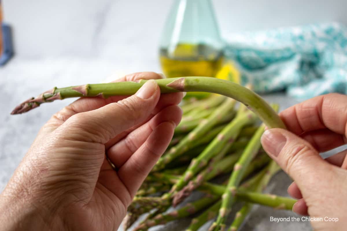 Bending a stalk of asparagus.