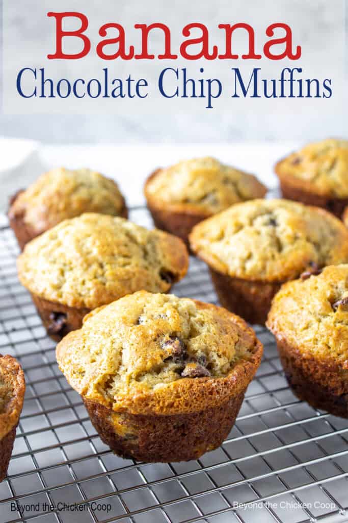 A baking rack filled with muffins with chocolate chips.