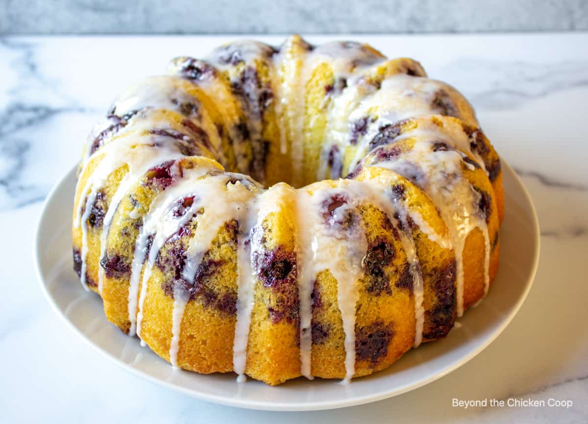 A blueberry bundt cake on a white plate.