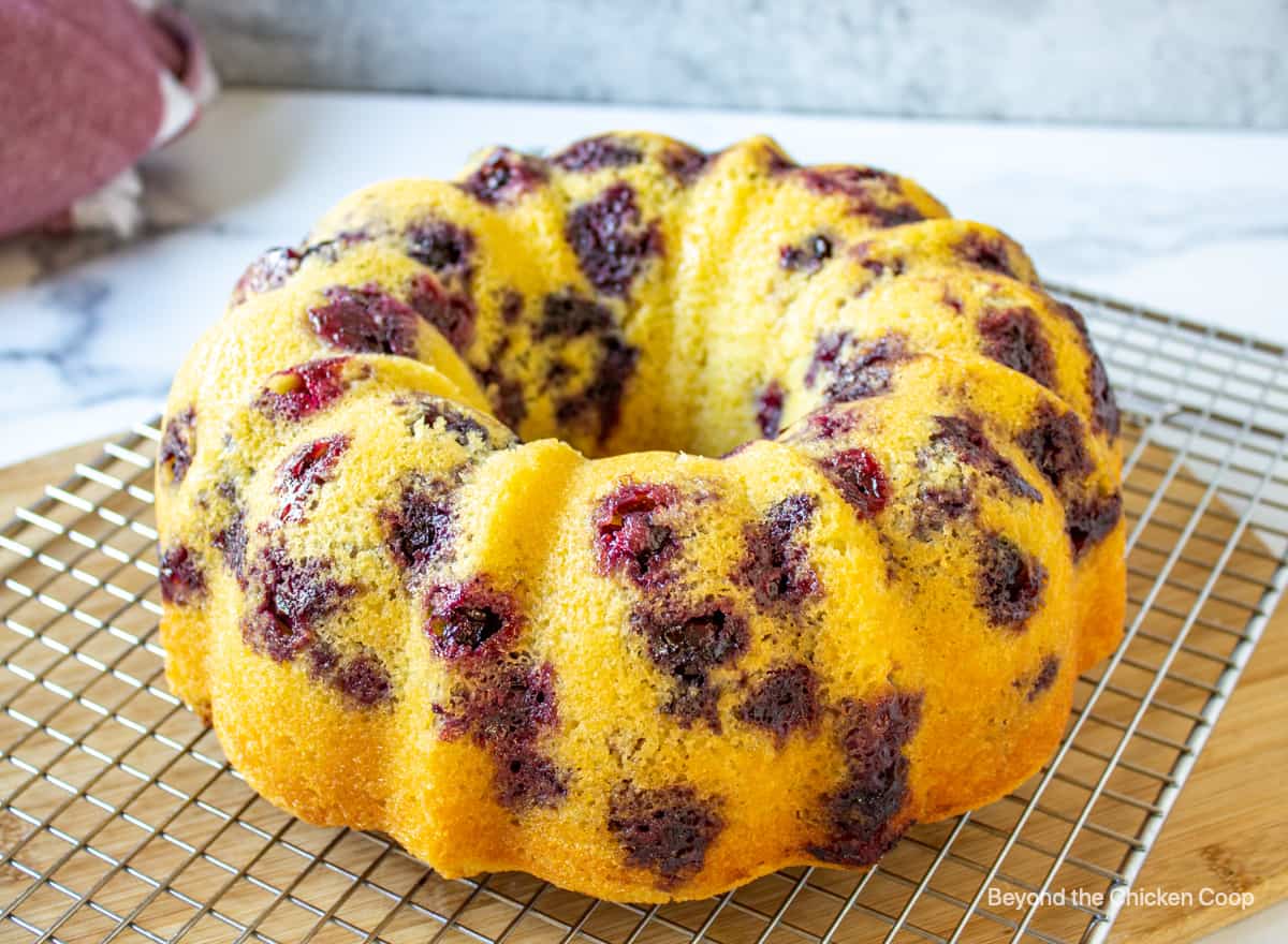 A blueberry bundt cake on a baking rack.