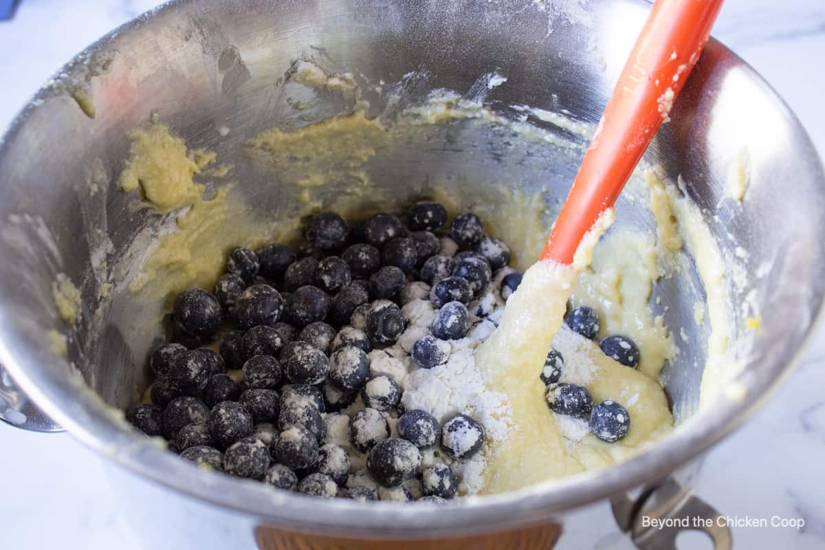 Folding blueberries into cake batter.