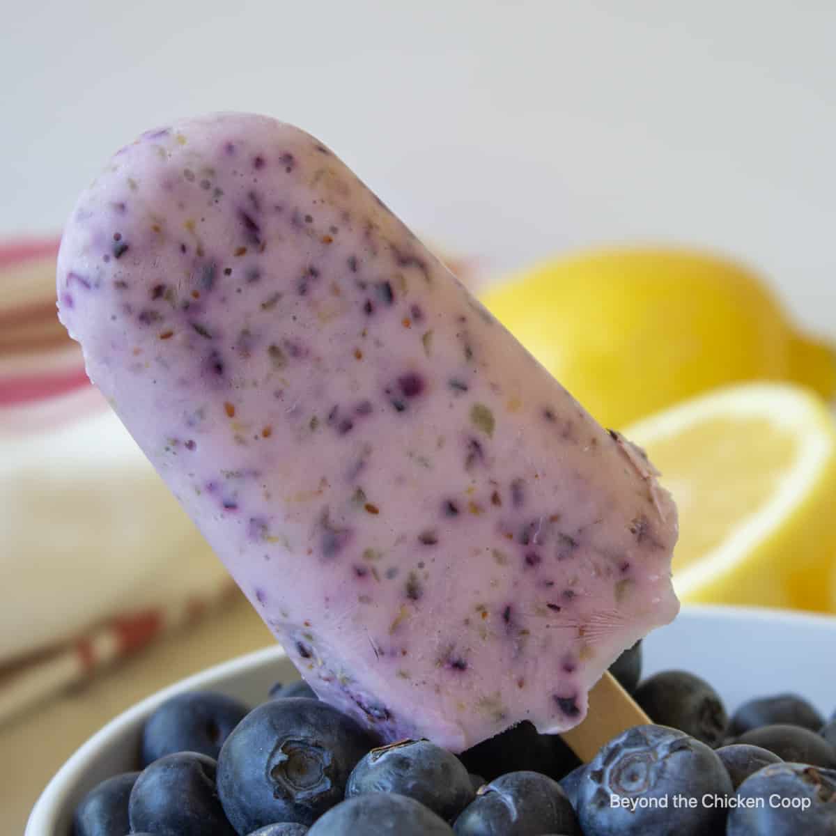 A frozen blueberry popsicle on a wooden stick.