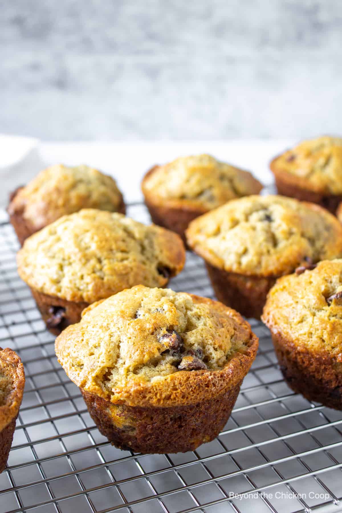 Muffins lined up on a baking rack.