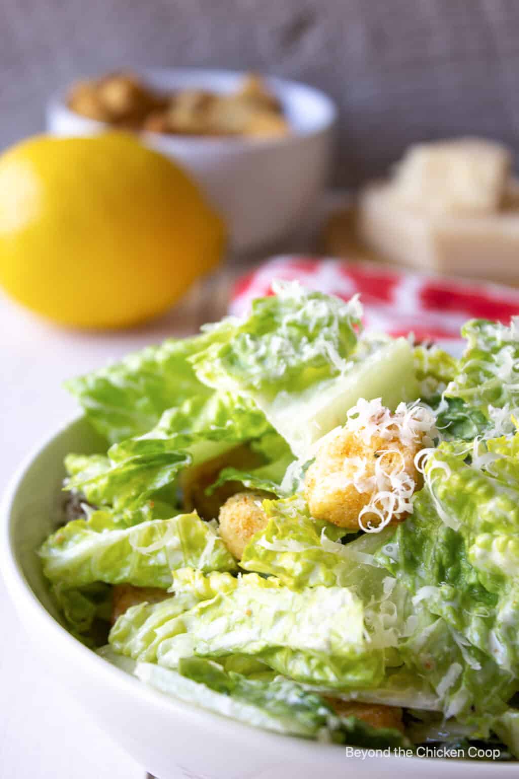 Homemade Creamy Caesar Salad Dressing Beyond The Chicken Coop homemade-creamy-caesar-salad-dressing-beyond-the-chicken-coop