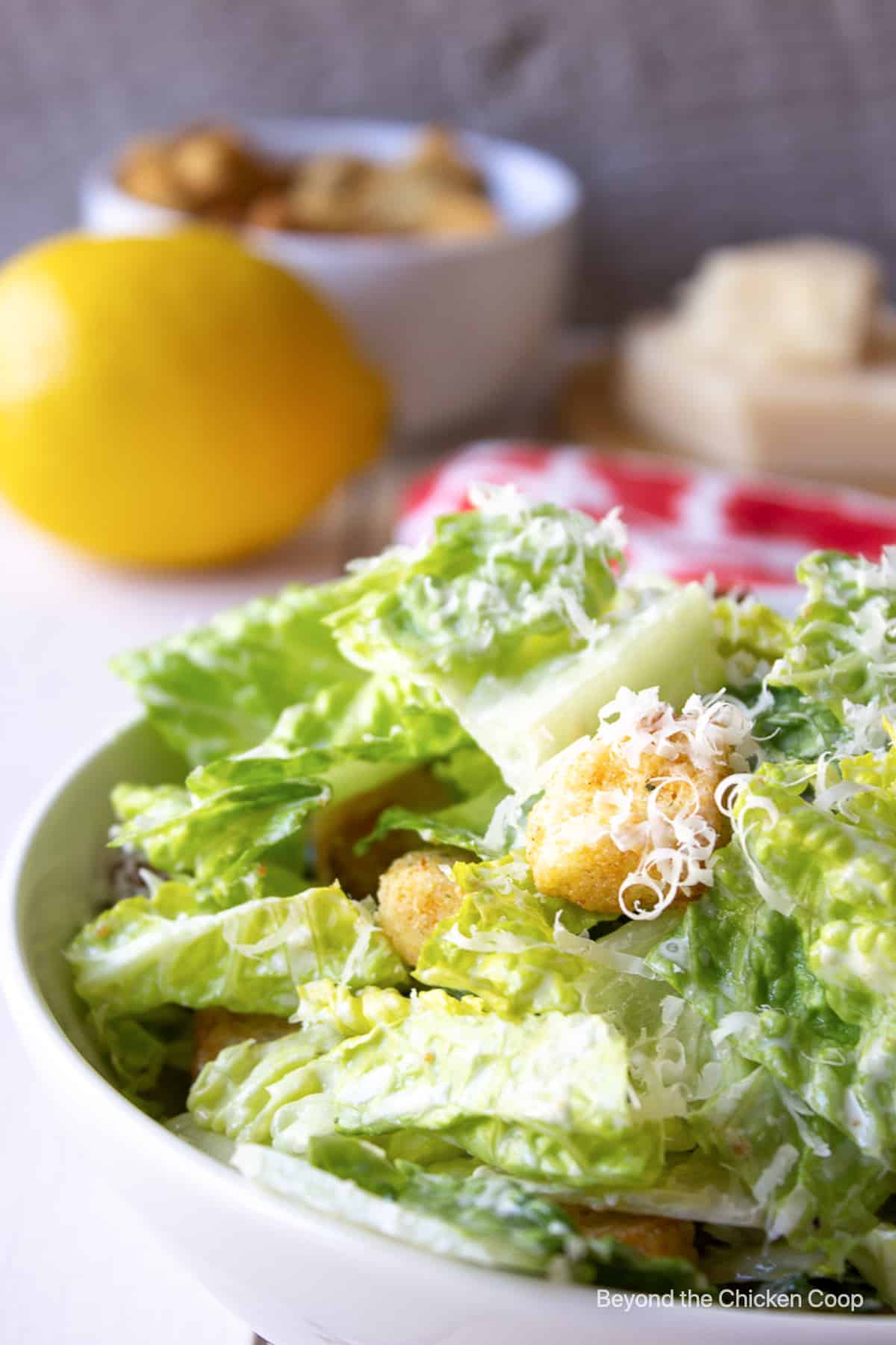 A green salad with croutons and shredded cheese in a white bowl.