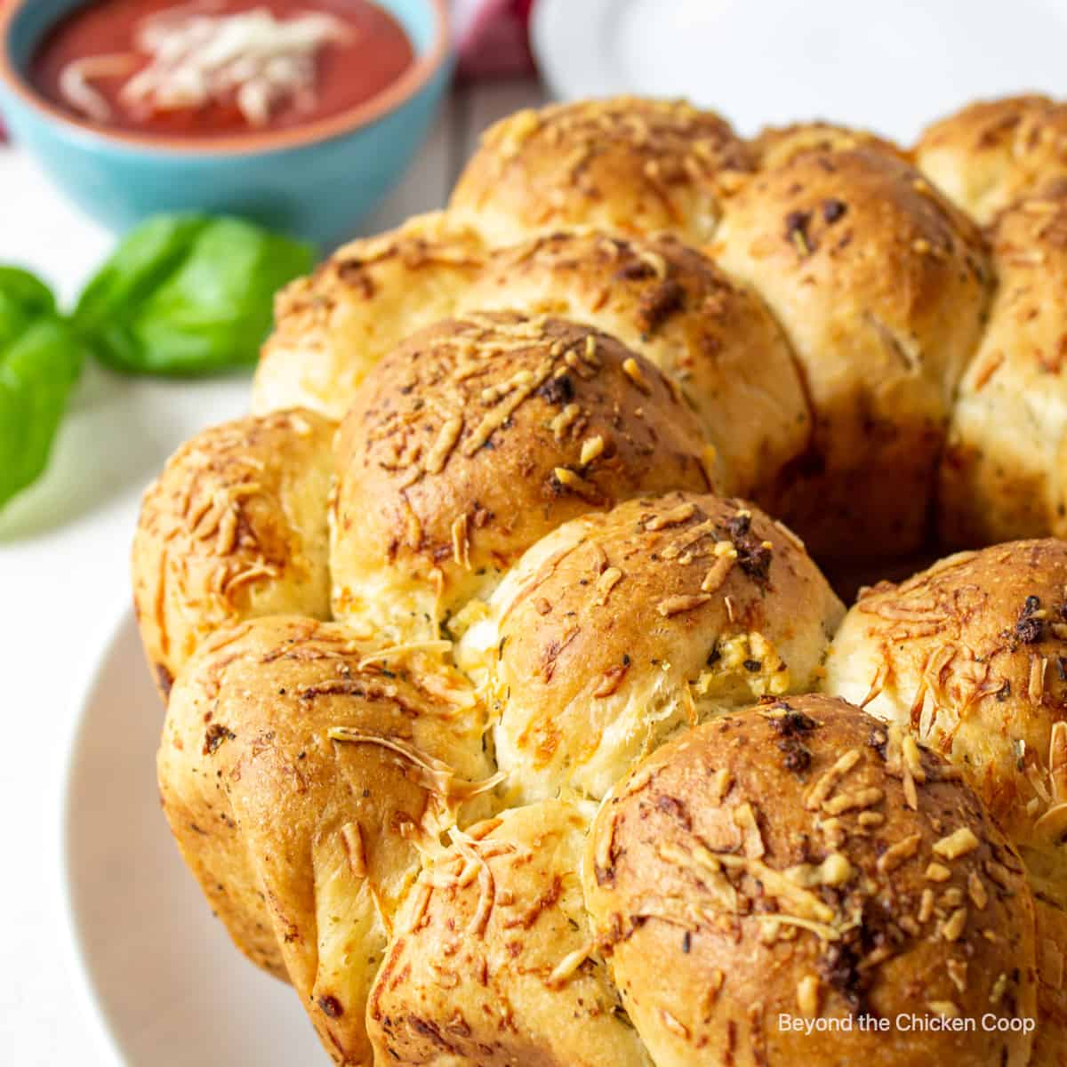 A round loaf of bread sprinkled with parmesan cheese.