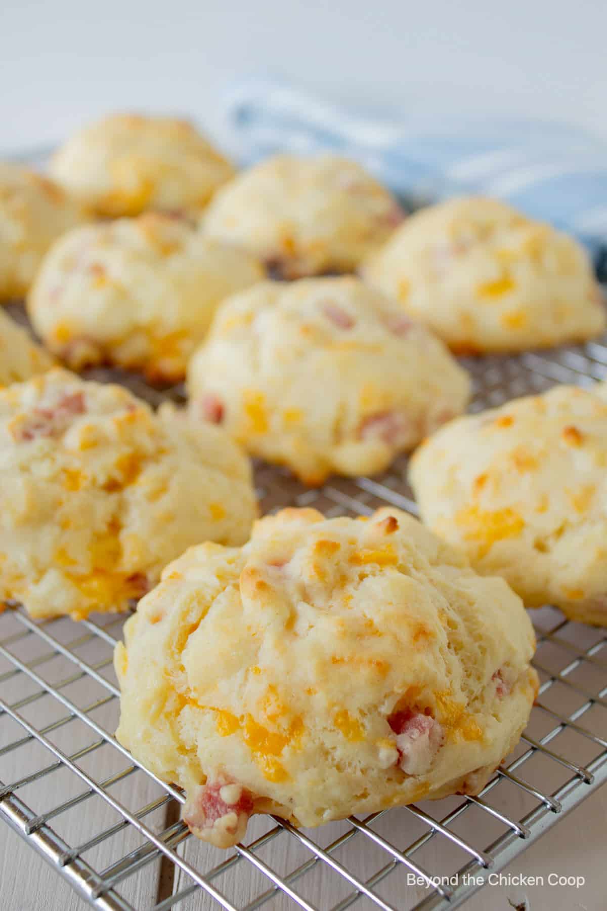 A wire rack filled with baked biscuits.