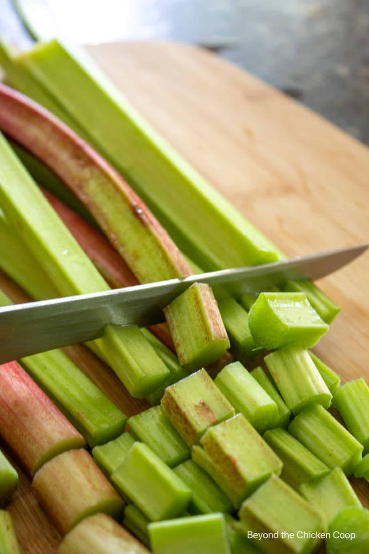 Cutting stalks of rhubarb into chunks.