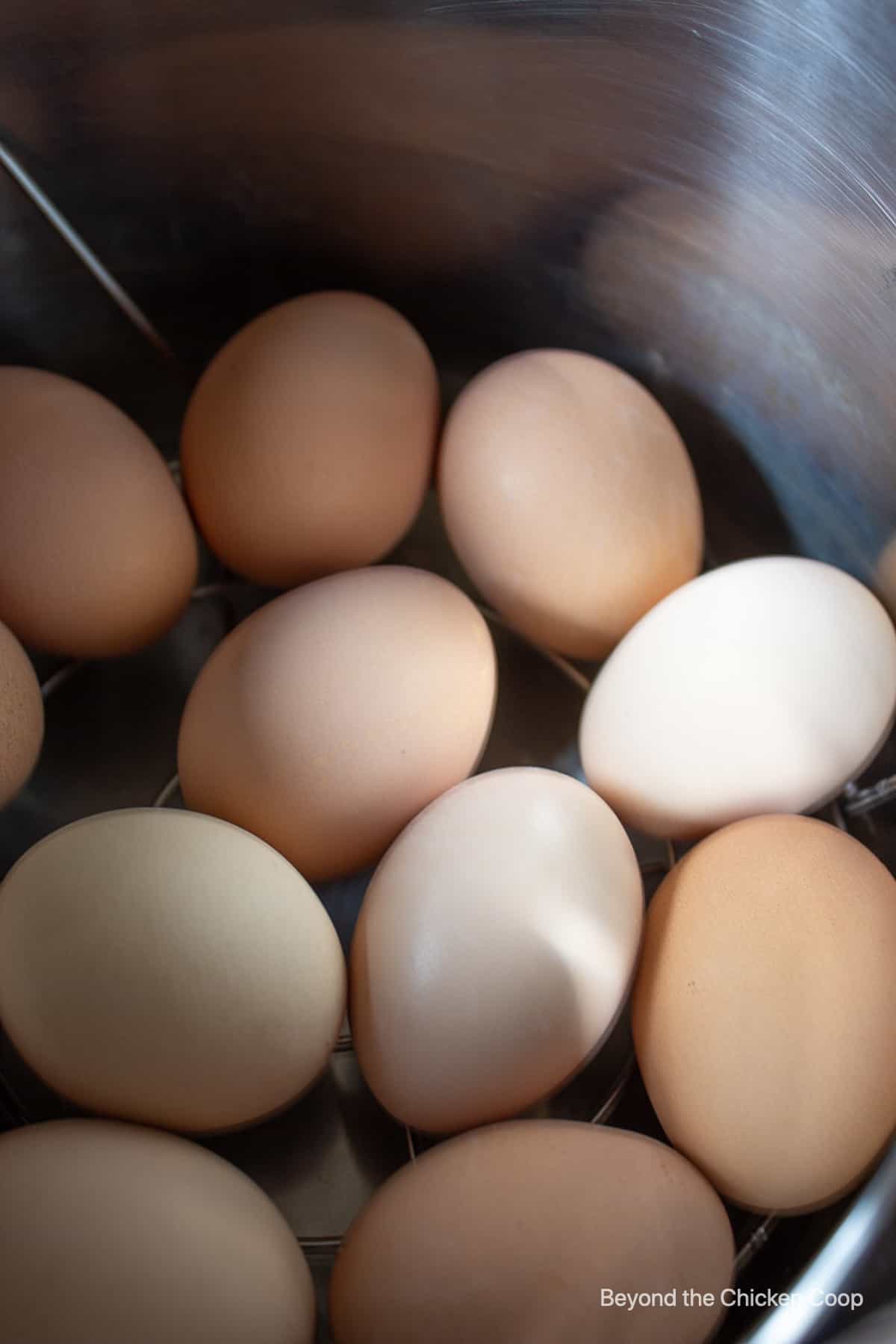 An assortment of eggs in a pot.