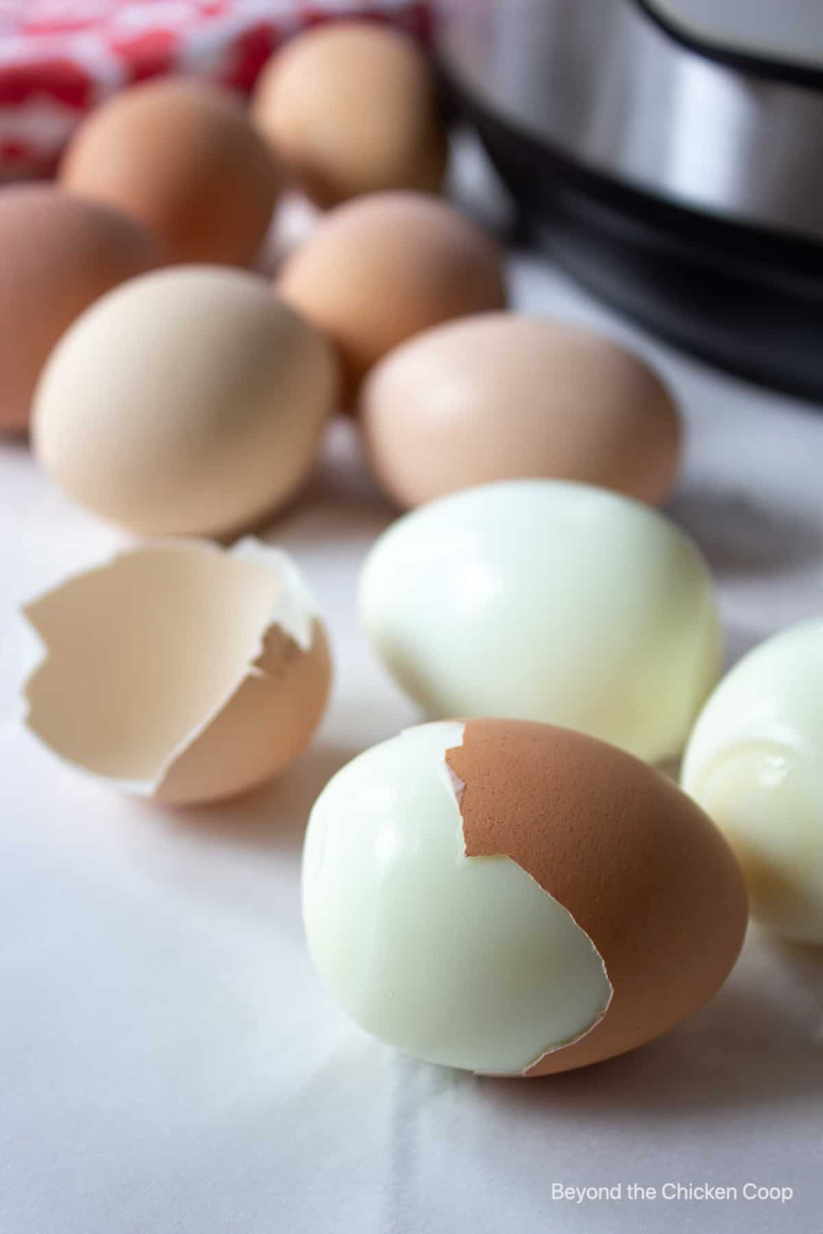 Hard boiled eggs with the peels off the eggs.