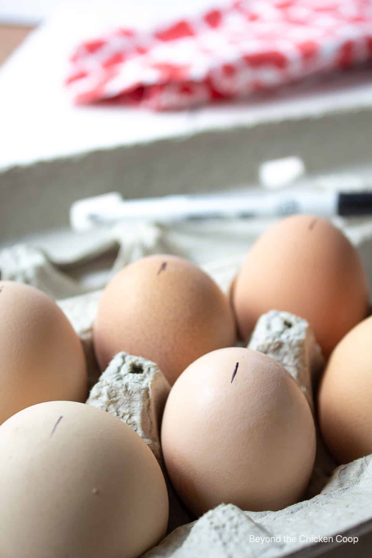 Eggs marked with a black mark in an egg carton.