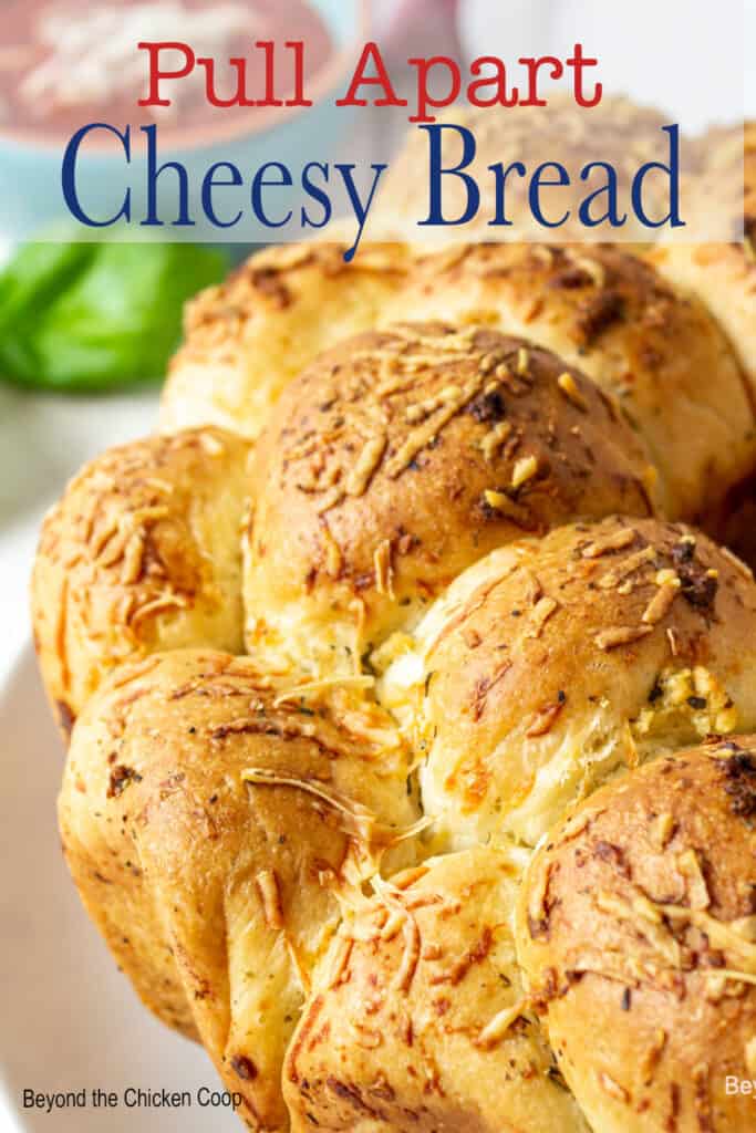 A round loaf of bread sprinkled with parmesan cheese.