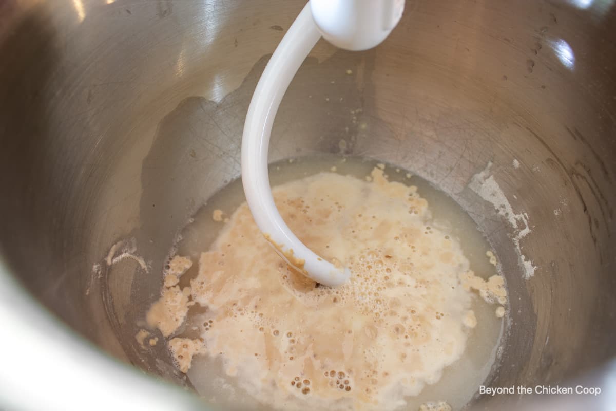 Yeast becoming active in a bowl with water.